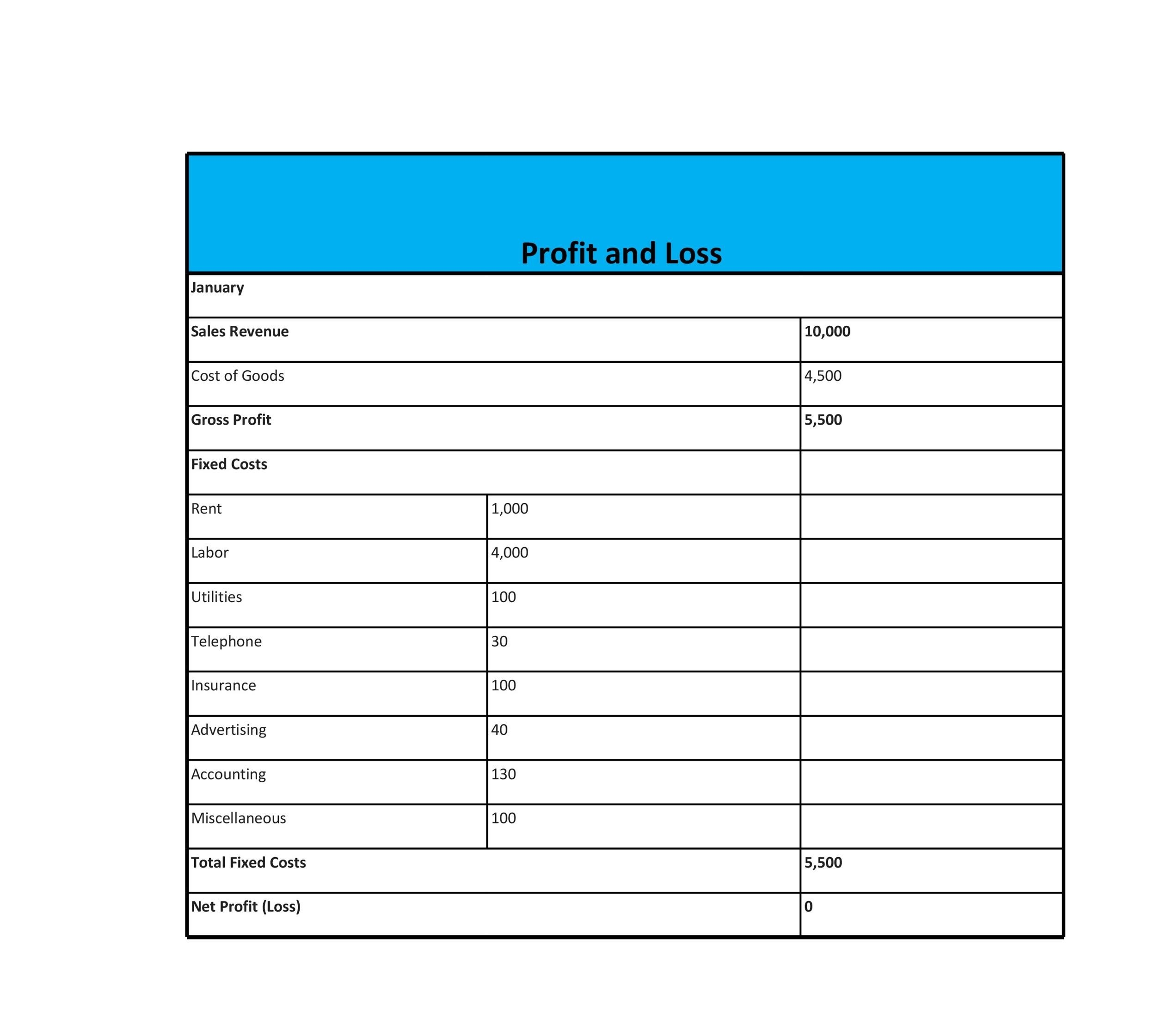 Printable Profit And Loss Statement Template