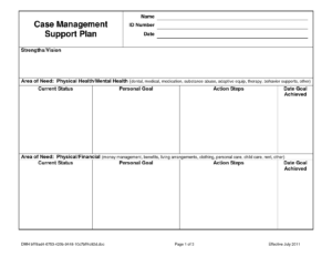 Case Notes Template CASE MANAGEMENT SERVICE PLAN Case Management Work Case Treatment Plan Template
