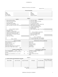 Personal Financial Statement Template Fill Online Printable Fillable Blank PdfFiller