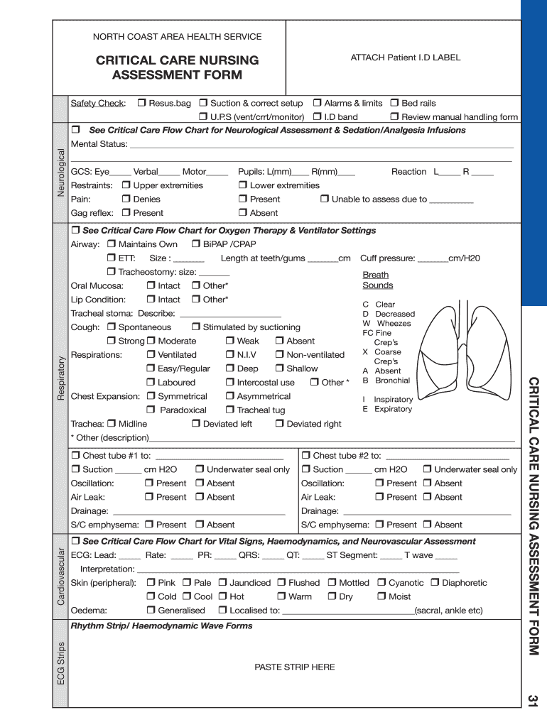 Printable Nursing Assessment Form Template